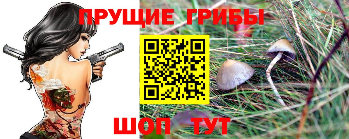 Норильск  Галлюциногенные грибы GOLDEN TEACHER  Вход с VPN  Псилоцибиновые грибы мицелий 